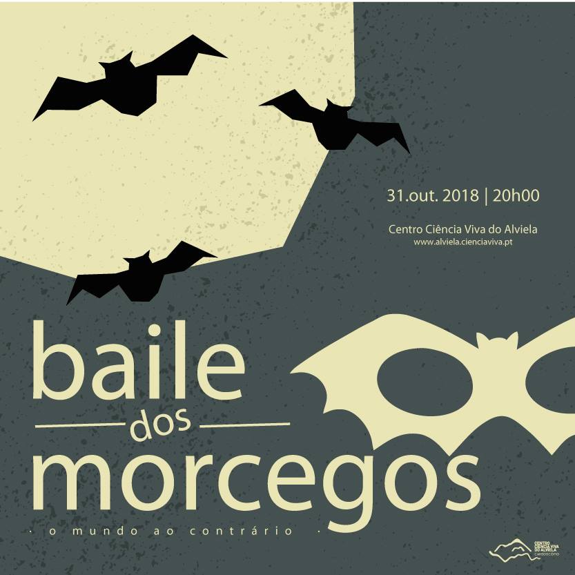 BAILE DOS MORCEGOS 2018 | CENTRO DE CIÊNCIA VIVA DO ALVIELA