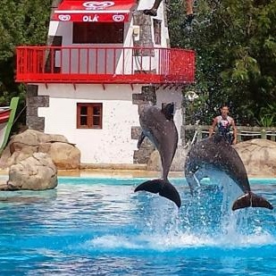 Dia da Criança – Música, Animação e Surpresas no Zoo