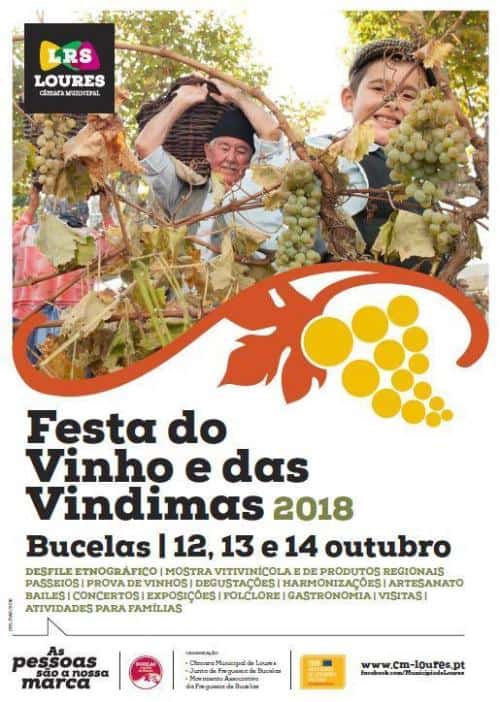 FESTA DO VINHO E DAS VINDIMAS 2018 | BUCELAS