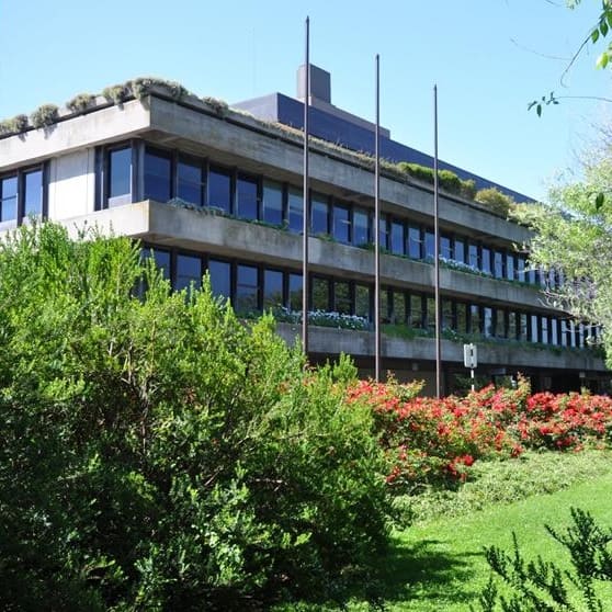 Portas Abertas – Rising Stars na Fundação Calouste Gulbenkian