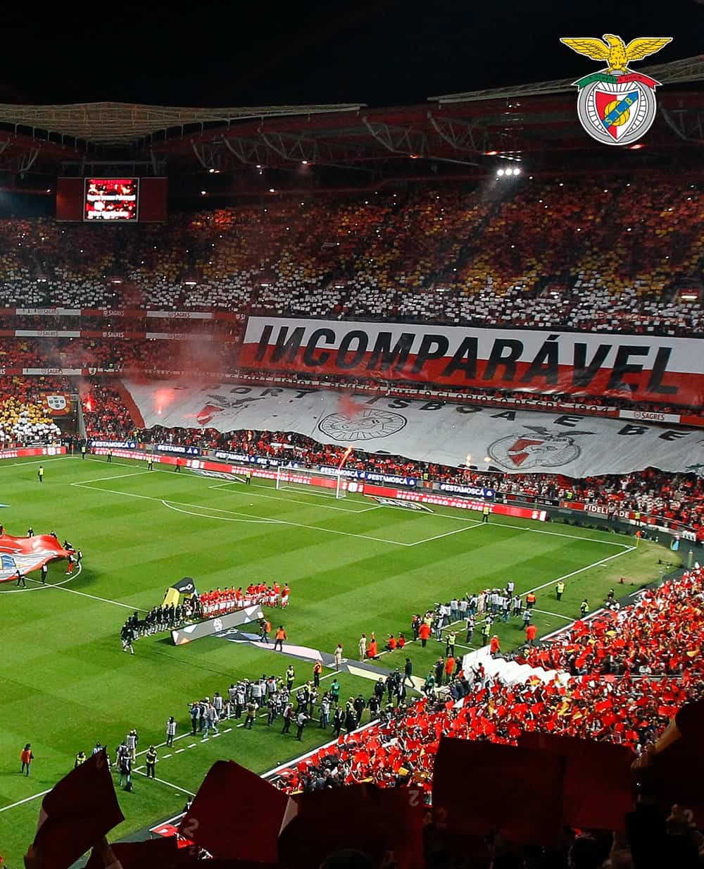 SL BENFICA | VISITAS AO ESTÁDIO E MUSEU BENFICA – COSME DAMIÃO