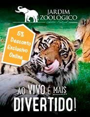 Visita Jardim Zoológico 2018
