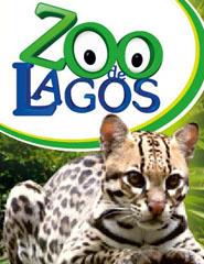 Visita ao Zoo de Lagos 2018
