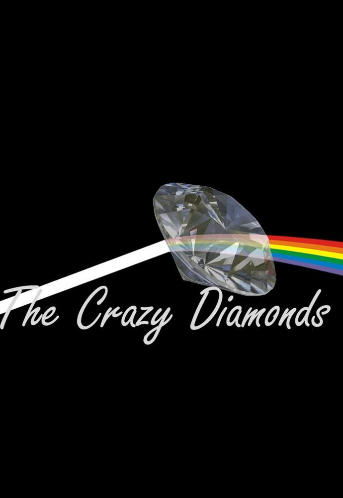 CONCERTO DE TRIBUTO A PINK FLOYD | CENTRO CULTURAL MALAPOSTA