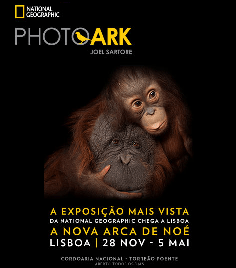 PHOTO ARK – EXPOSIÇÃO LISBOA | CORDOARIA NACIONAL