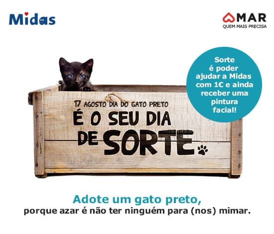 Dia do Gato Preto: MAR Shopping lança campanha de adoção