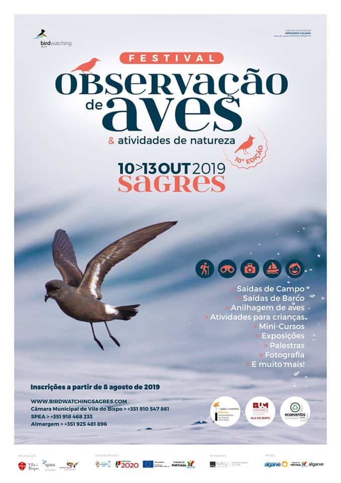 FESTIVAL OBSERVAÇÃO DE AVES 2019 | SAGRES