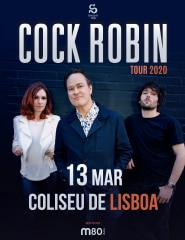 COCK ROBIN | TOUR 2020
