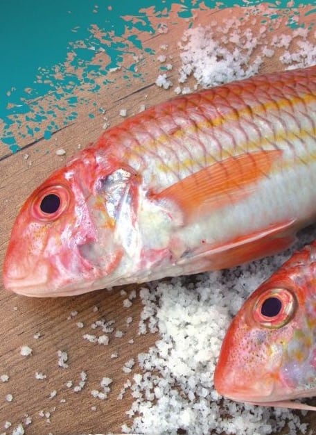 SEMANA DO SALMONETE 2019 EM SETÚBAL