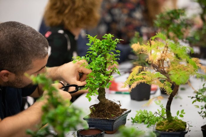 As Artes Japonesas vão estar em destaque no Museu do Oriente numa altura em que a nova estação do ano, a Primavera se aproxima. Workshops sobre artes de arranjos florais e decoração, quer seja na reorganização do espaço como na criação de peças originais, são os temas em que se pode inscrever.