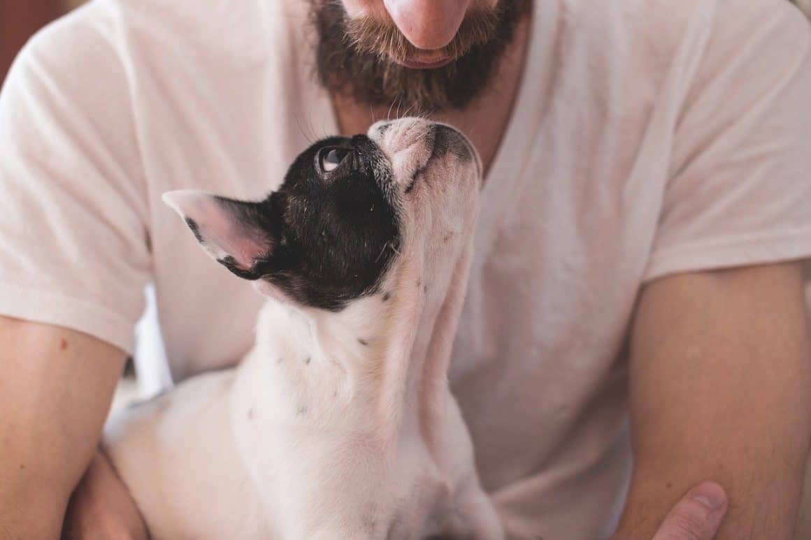 LISBON MARRIOTT HOTEL É PET FRIENDLY