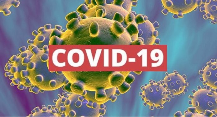 O novo coronavírus, intitulado COVID-19, foi identificado pela primeira vez em dezembro de 2019, na China, na Cidade de Wuhan. Este novo agente nunca tinha sido previamente identificado em seres humanos, tendo causado um surto na cidade de Wuhan.