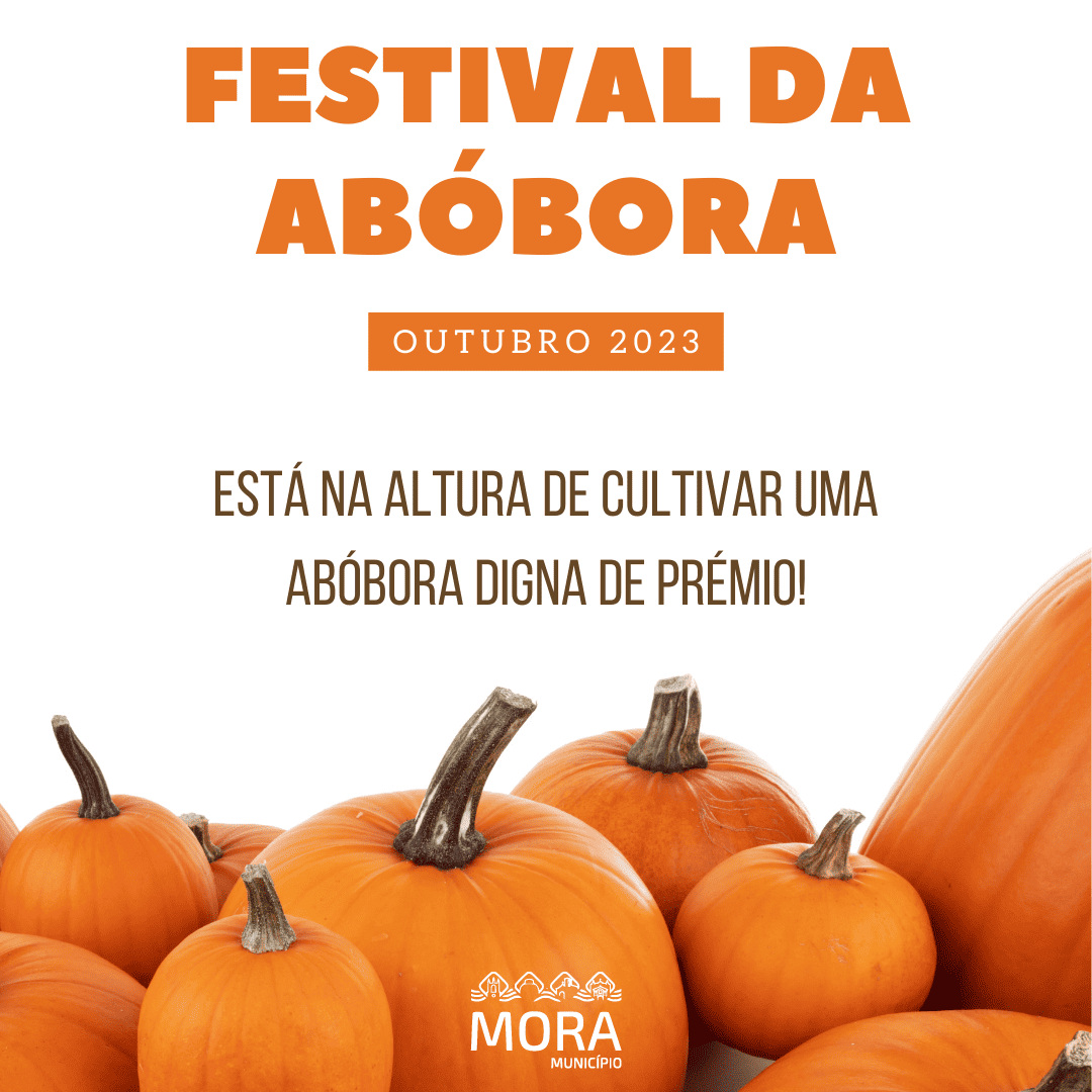 FESTIVAL DA ABÓBORA 2023 | MORA