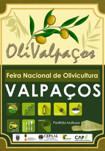 OLIVALPAÇOS 2024 |FEIRA NACIONAL DE OLIVICULTURA