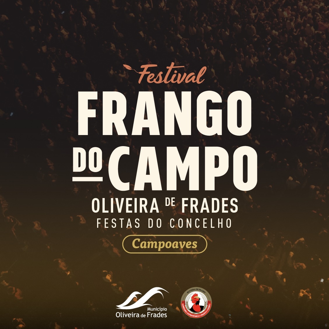 FESTIVAL FRANGO DO CAMPO 2024 | OLIVEIRA DE FRADES